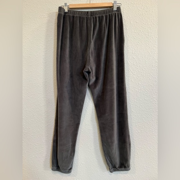 aerie velour jogger gray small - Picture 2 of 4